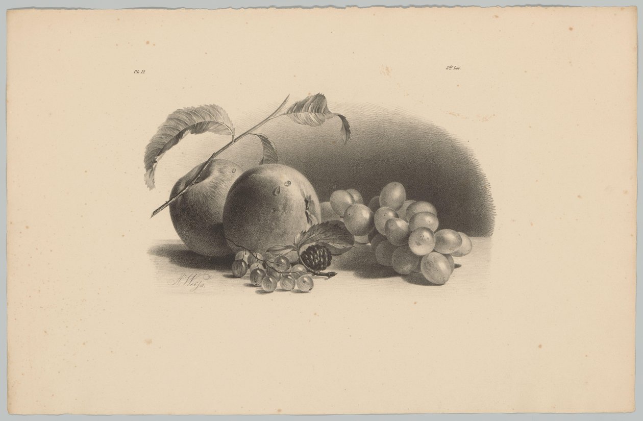 Appels, bessen, braam en druiven door Anton Weiss