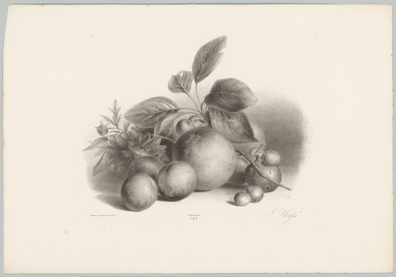 Bloemen, nectarines en hazelnoten door Anton Weiss