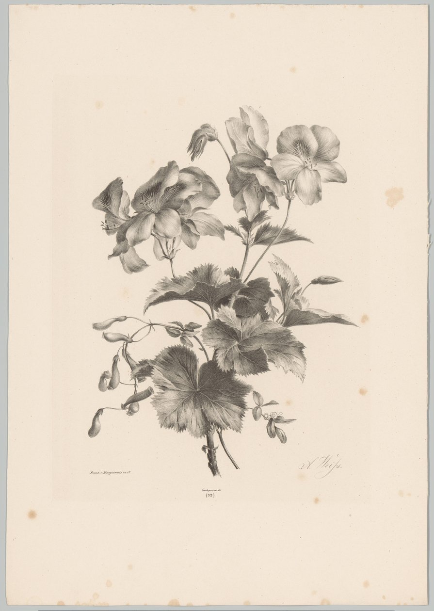 Diverse bloemen door Anton Weiss