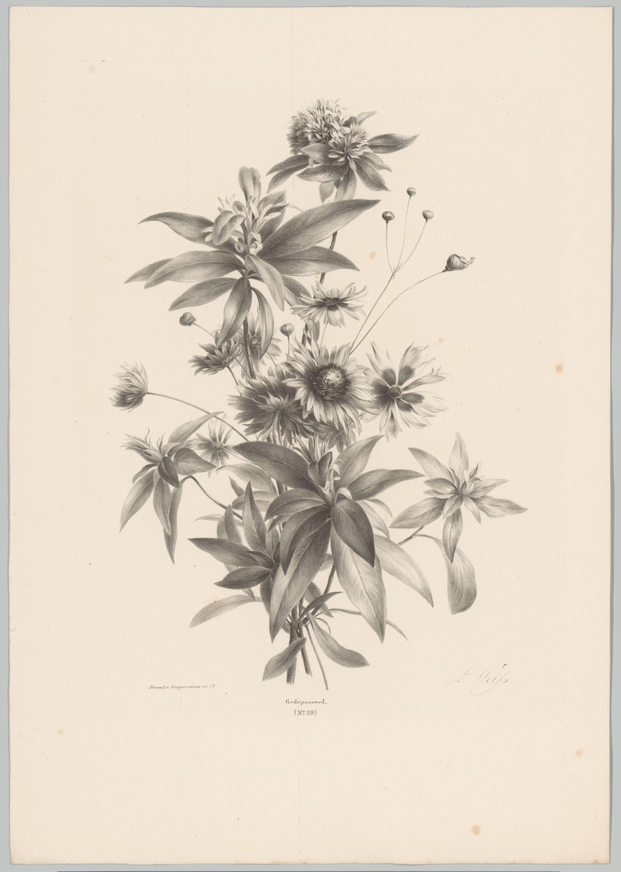 Diverse bloemen door Anton Weiss