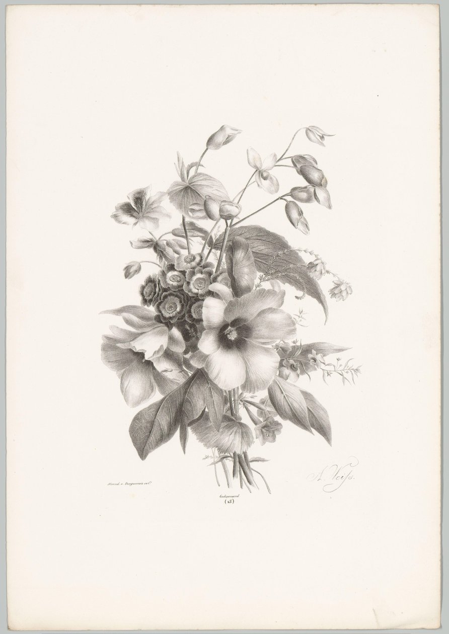 Diverse bloemen door Anton Weiss