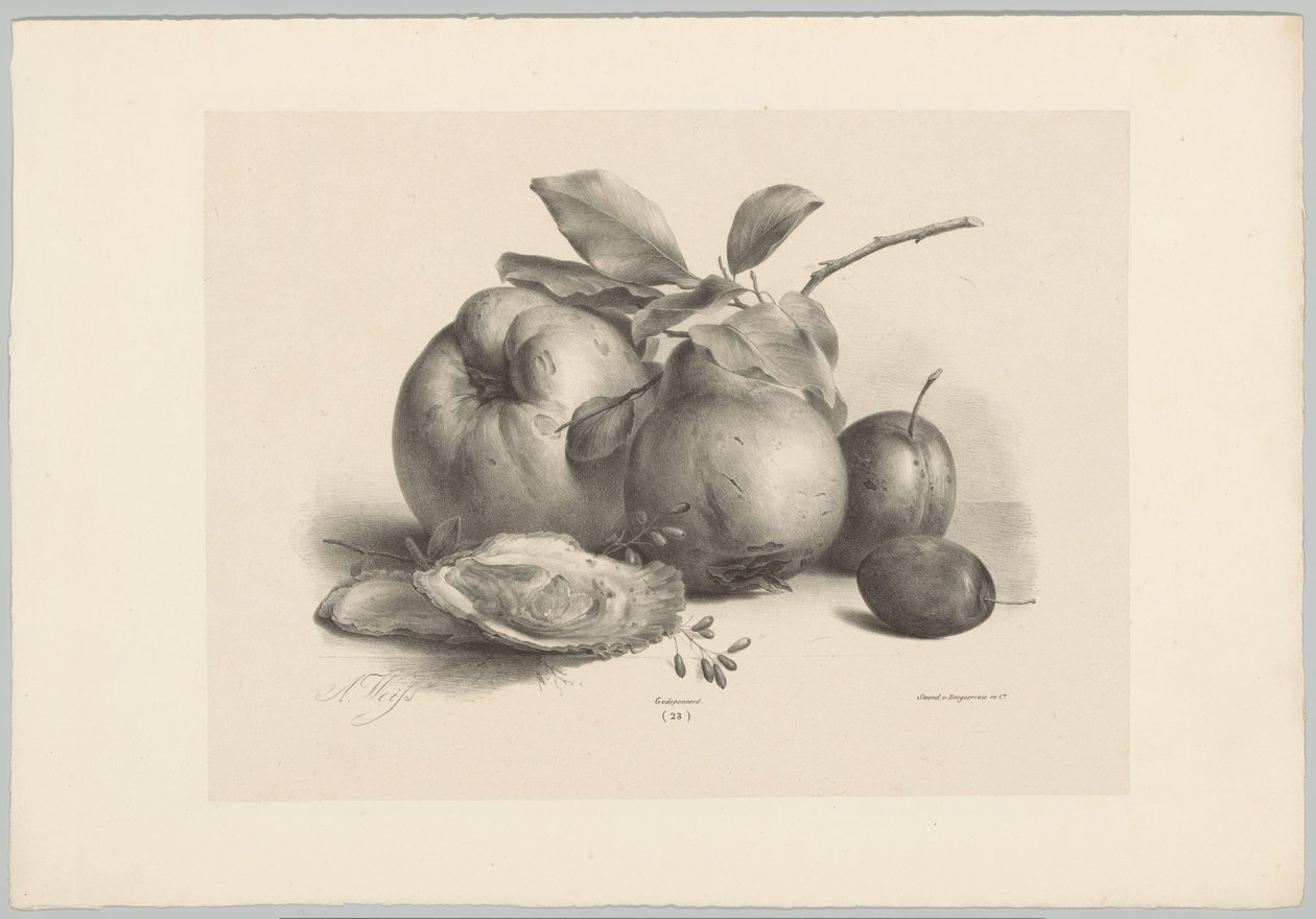 Fruit, pruimen en oesters door Anton Weiss