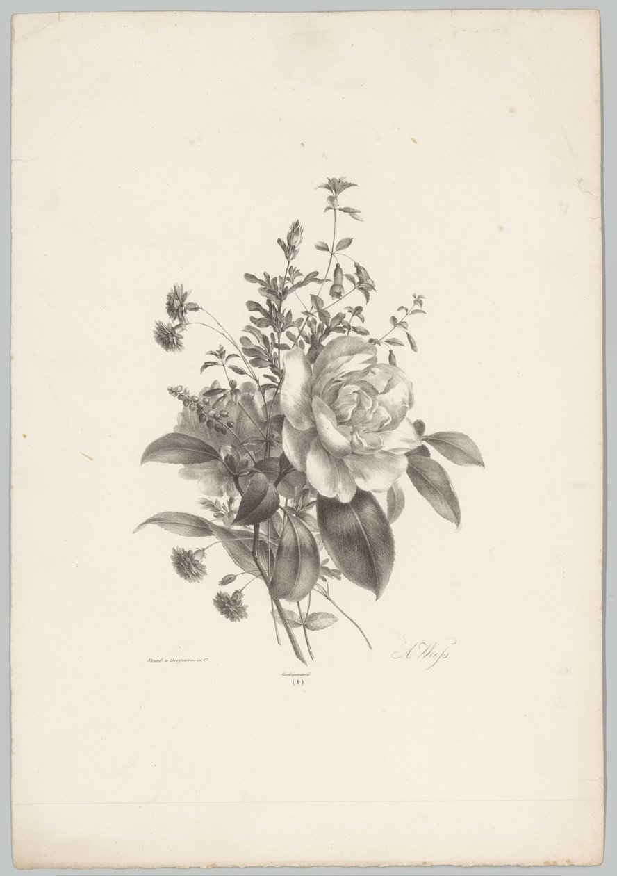 Rozen, anjers en fuchsia door Anton Weiss