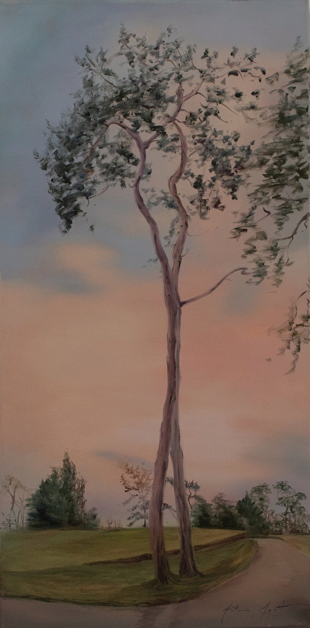 Tapeley Park bomen, 2013 door Antonia Myatt