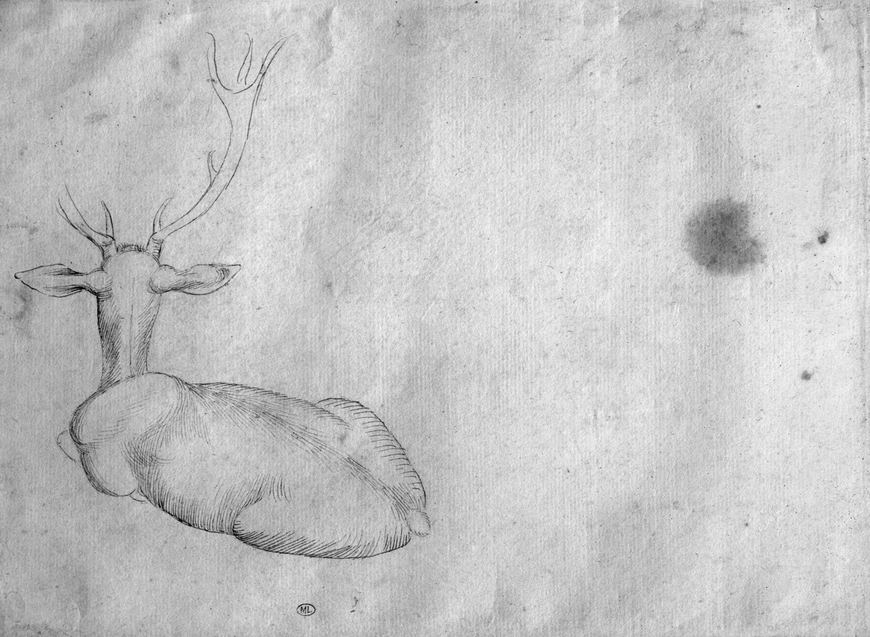 Rustend hert, gezien van achteren, uit het Vallardi Album door Antonio Pisanello