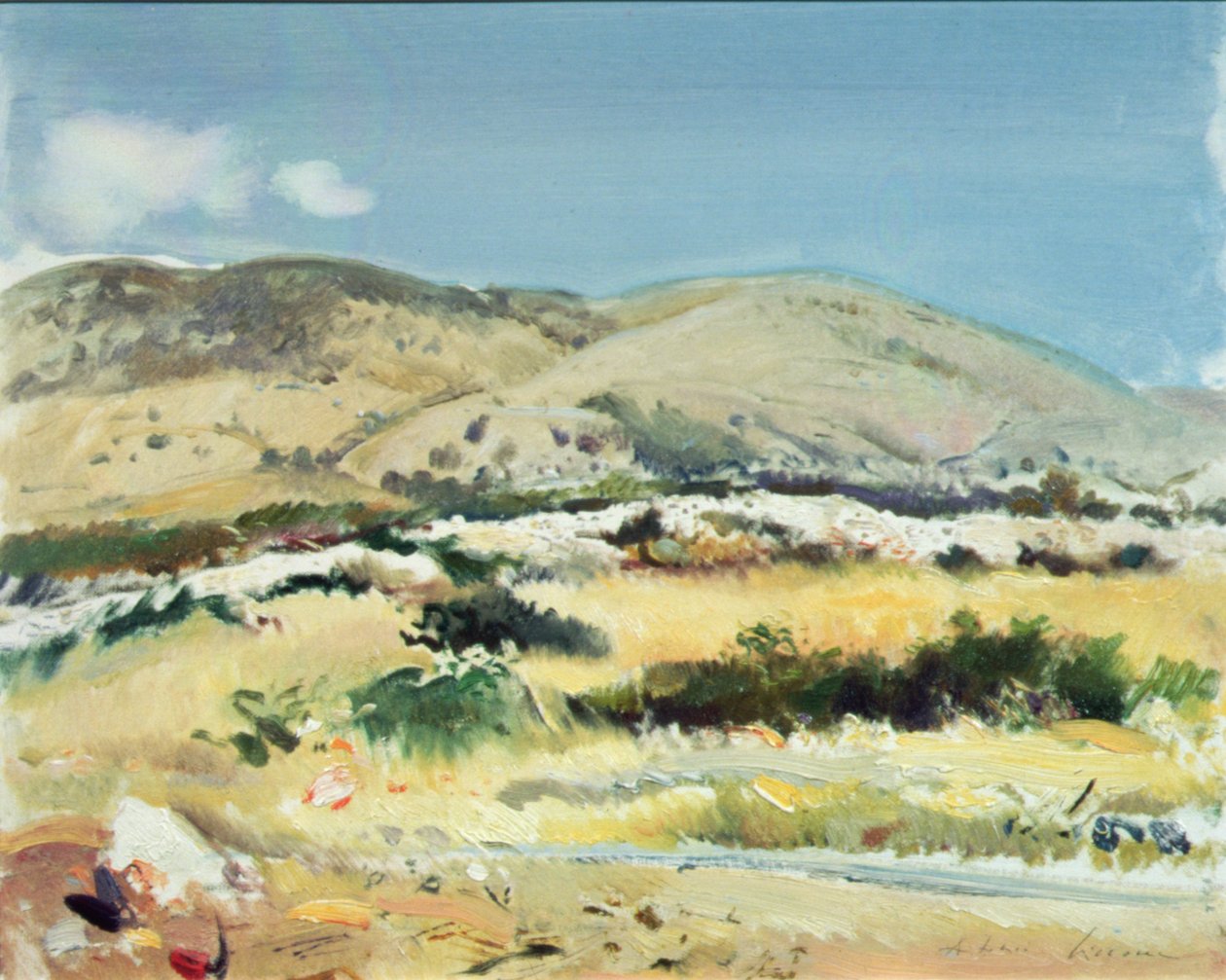 Gargano, 1981 door Antonio Ciccone