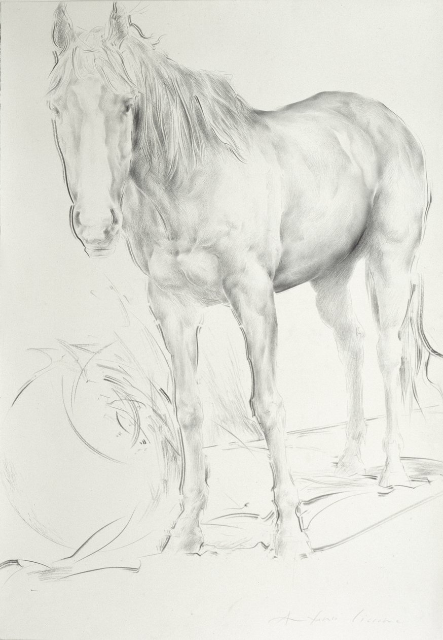 Paard bij Coolmore, 1990 door Antonio Ciccone
