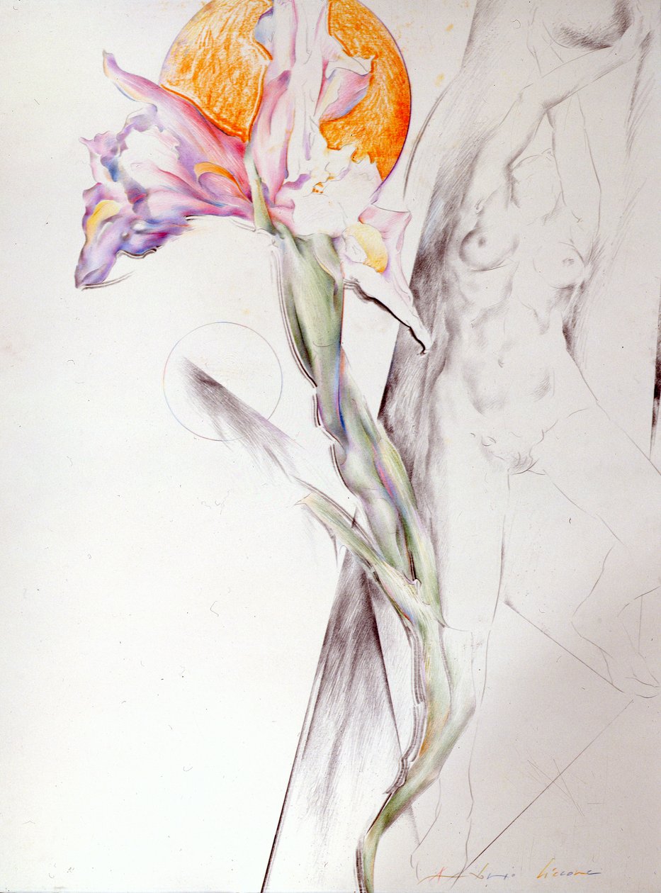 Onbekend schilderij door Antonio Ciccone