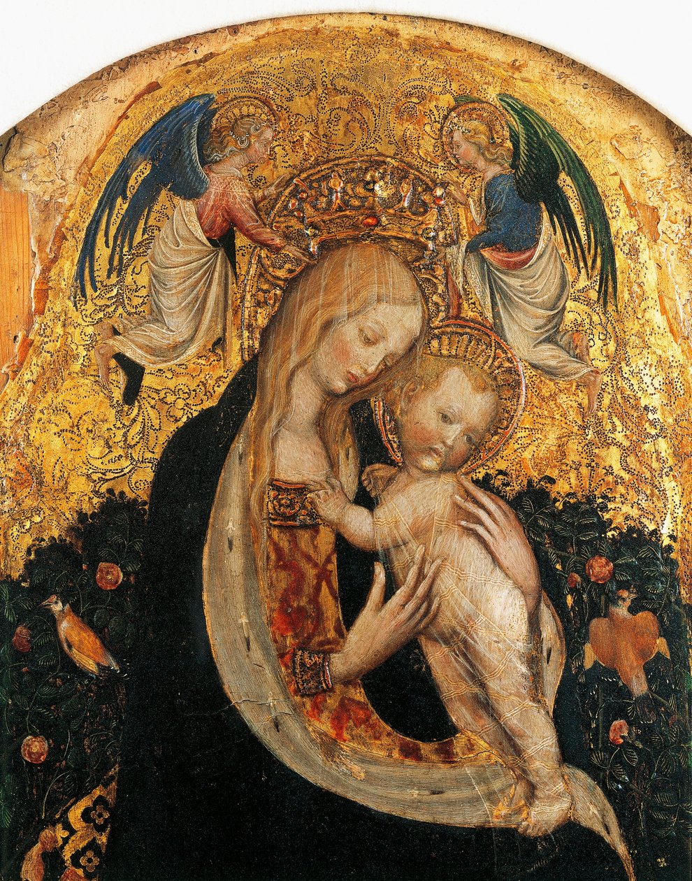 Madonna van de kwartel (detail) door Antonio Pisanello