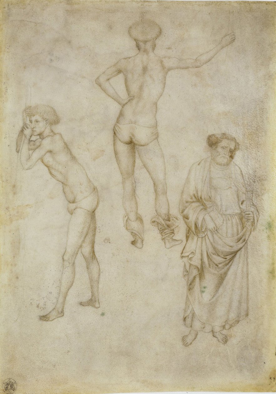 Twee mannelijke figuurstudies en Sint-Pieter, 1430-1435 door Antonio Pisanello