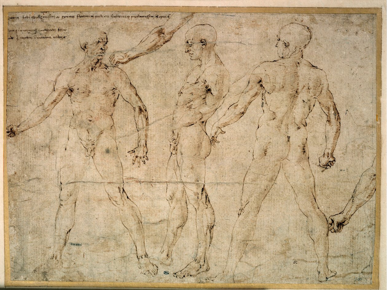 Drie naakte mannen. Tekening door Antonio Pollaiuolo (Pollaiolo) (1432-1498) door Antonio Pollaiuolo