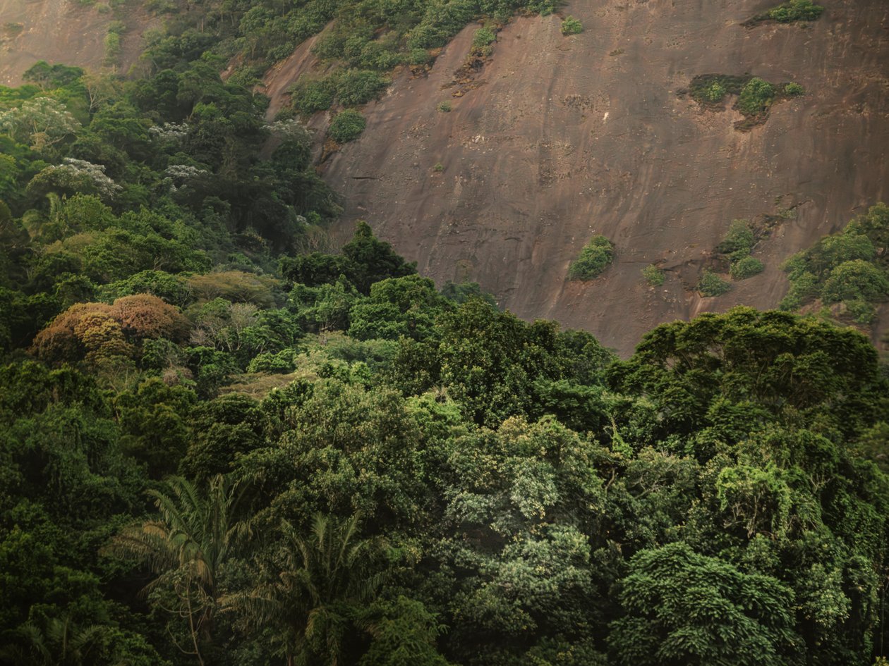 Corcovado XV, 2020 door Antonio Schubert