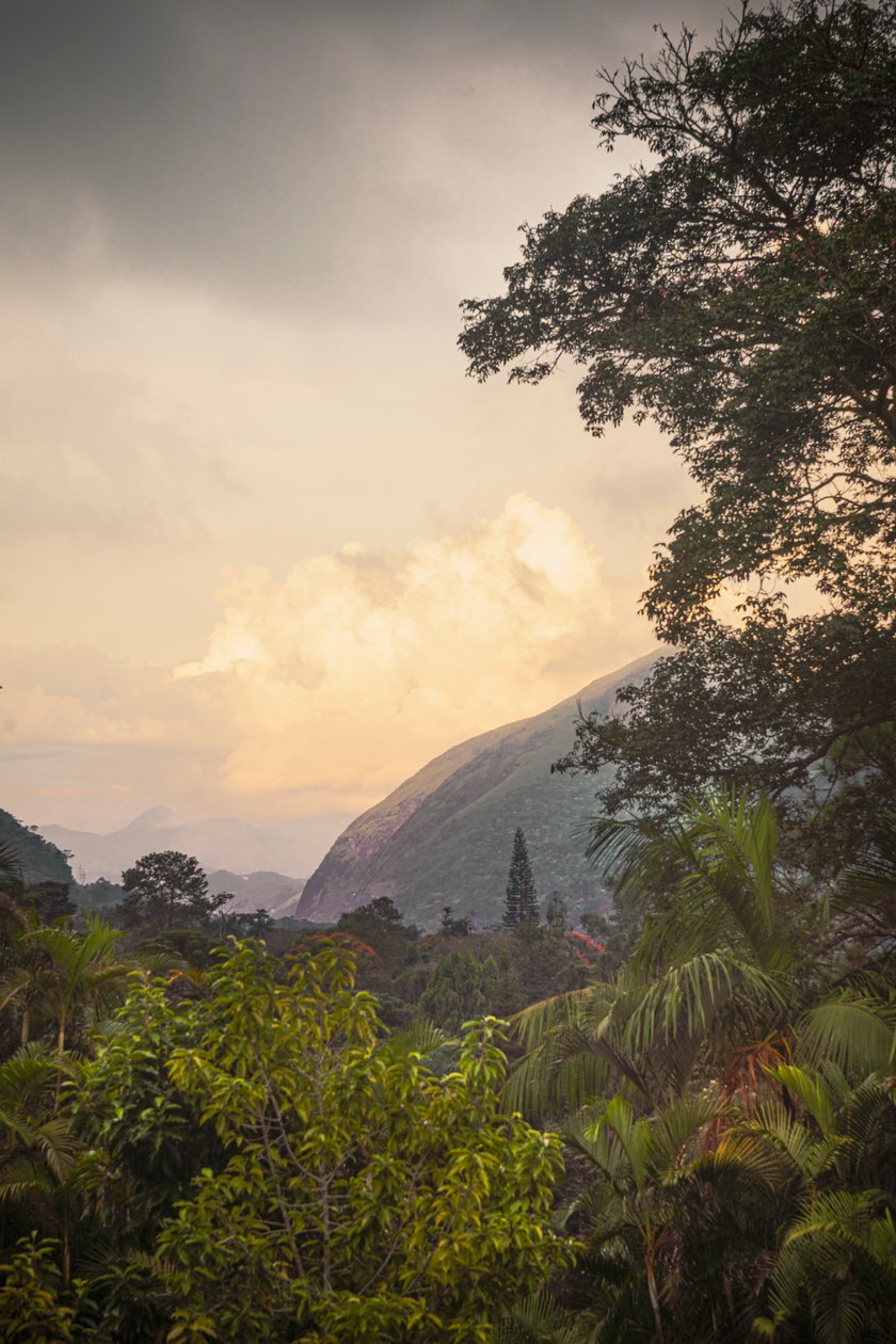 Serra dos Órgãos VIII, Petrópolis, Rio de Janeiro, Brazilië, 2025 (foto) door Antonio Schubert