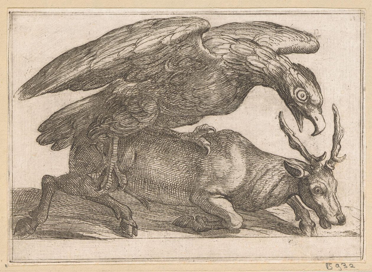 Een grote vogel valt een hert aan door Antonio Tempesta