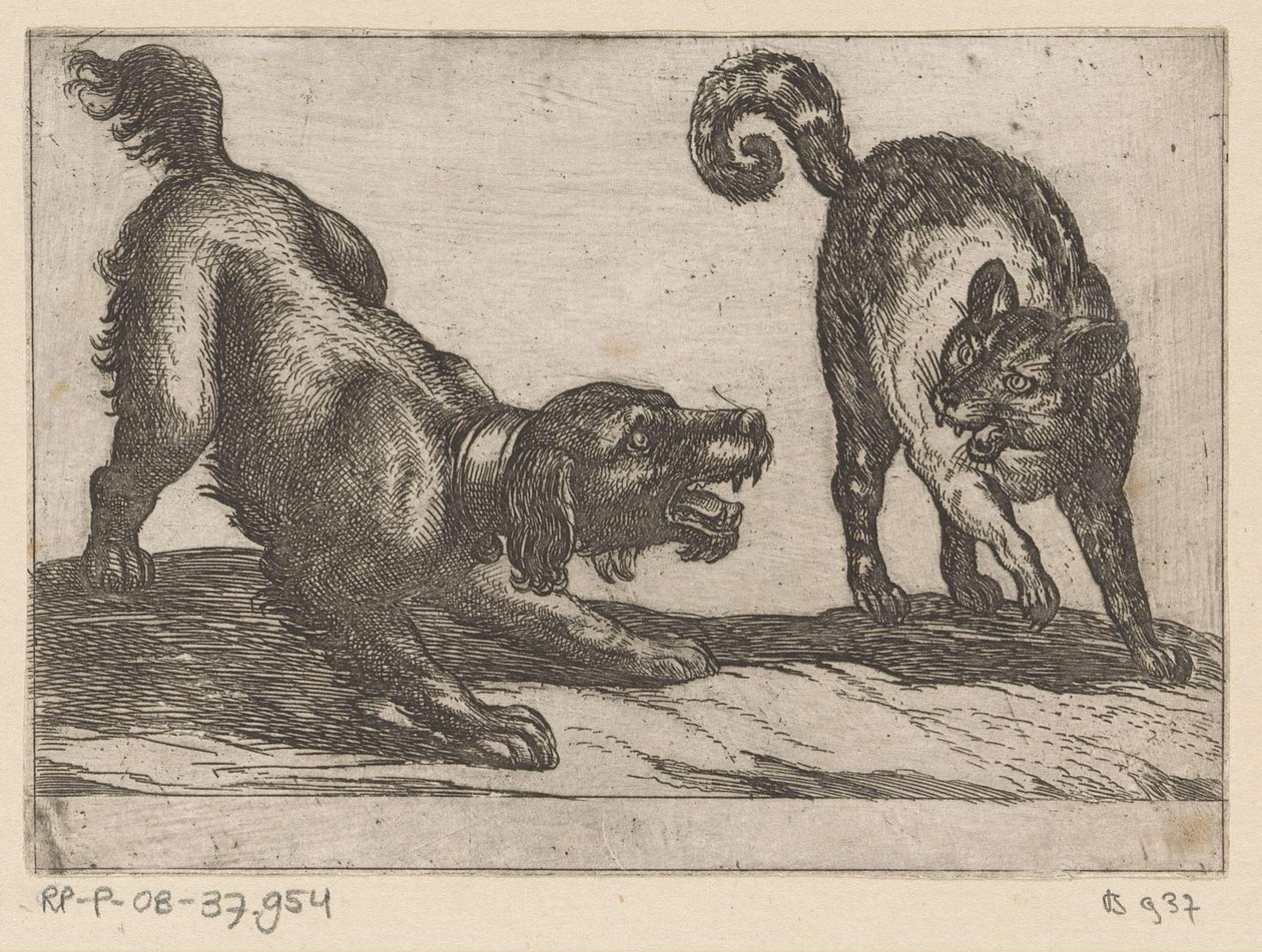 Een hond vechtend met een kat door Antonio Tempesta