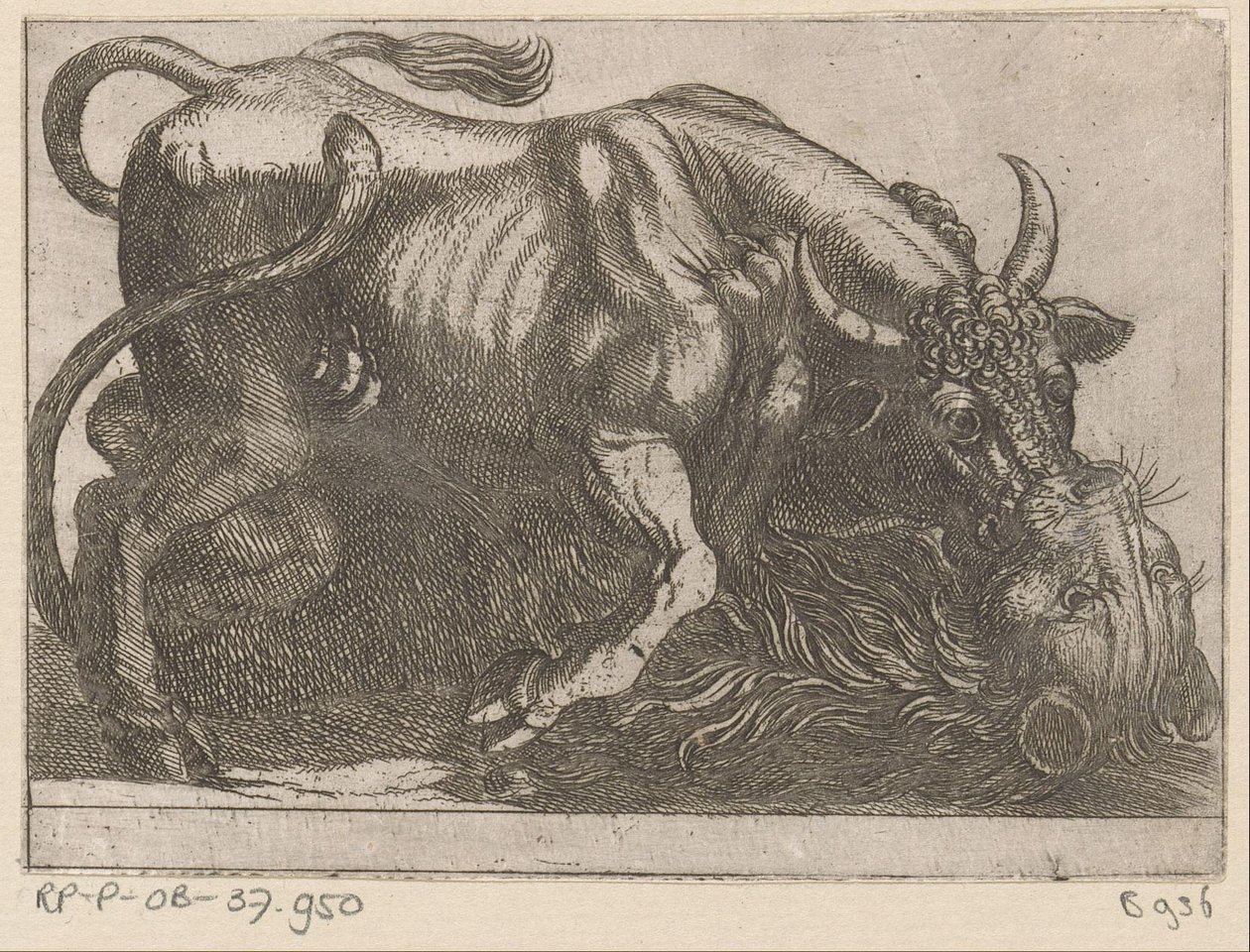 Een stier vechtend met een leeuw door Antonio Tempesta