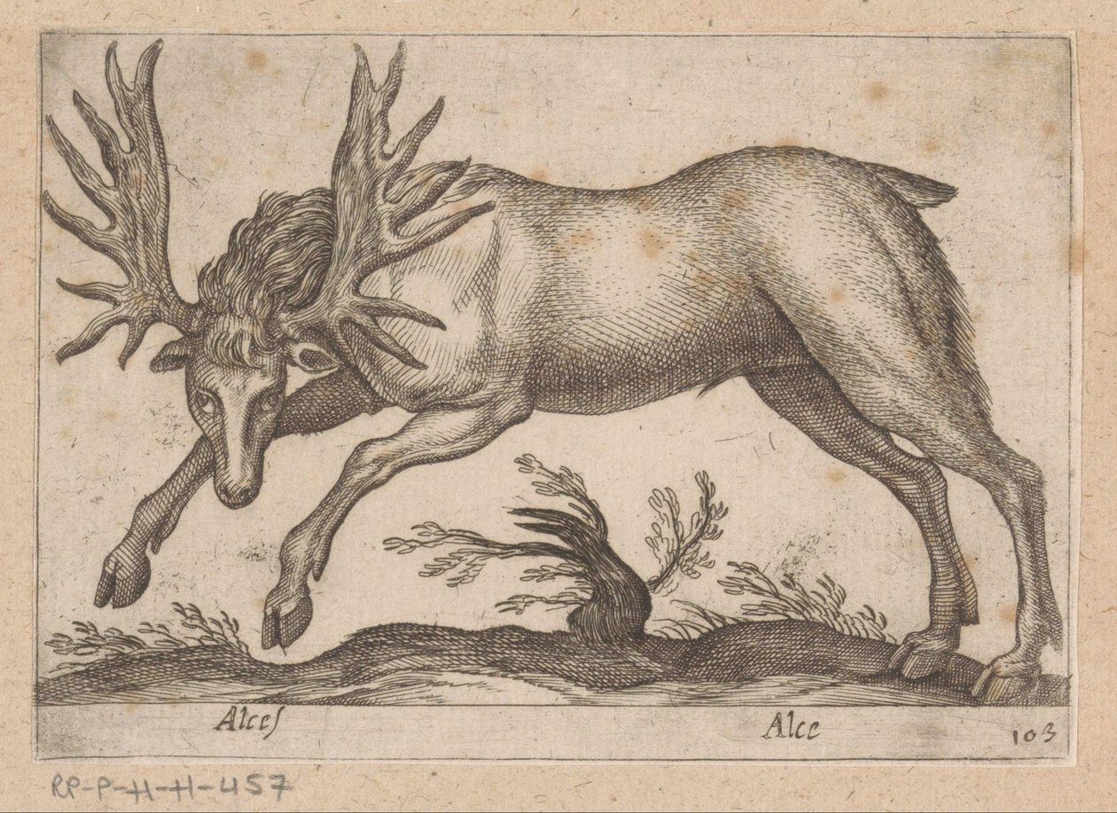 Eland door Antonio Tempesta
