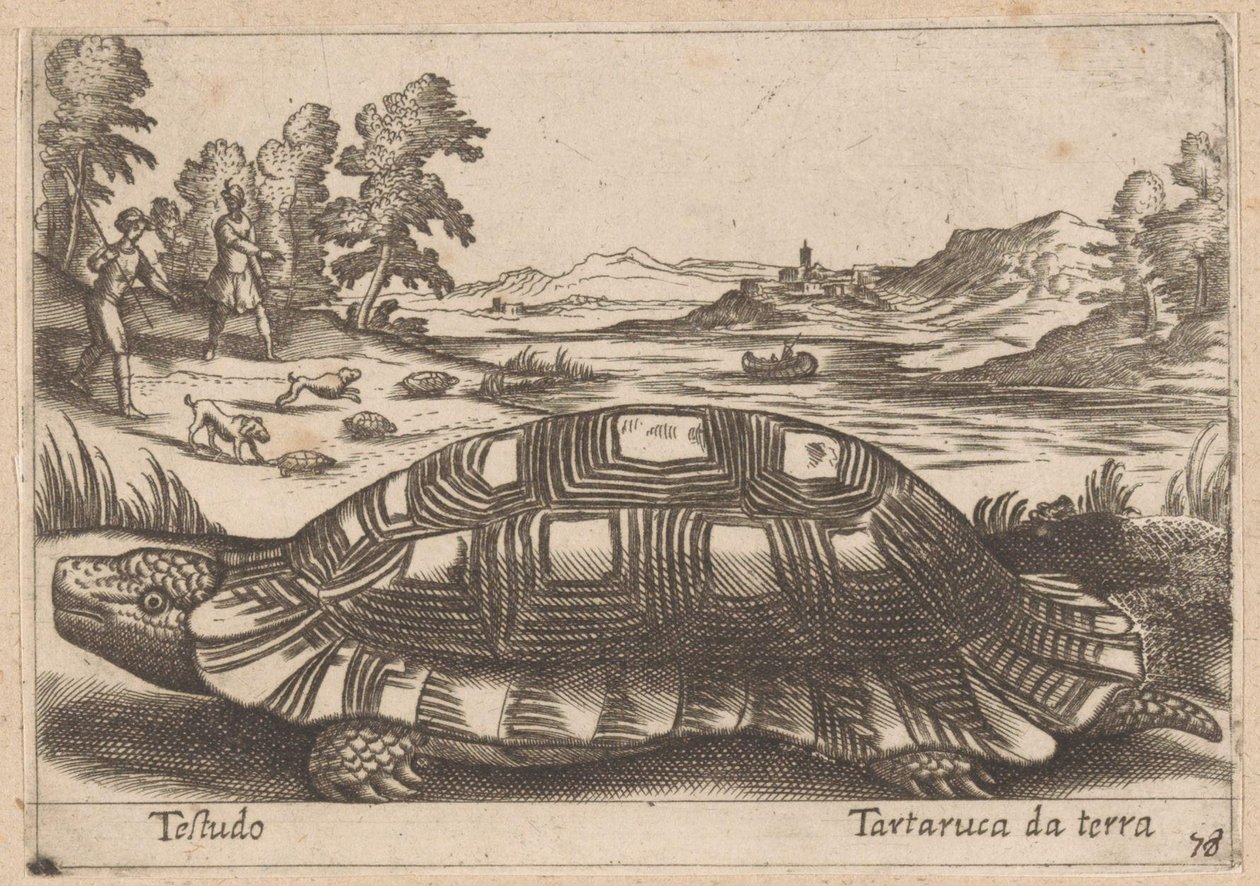 Landschildpad door Antonio Tempesta