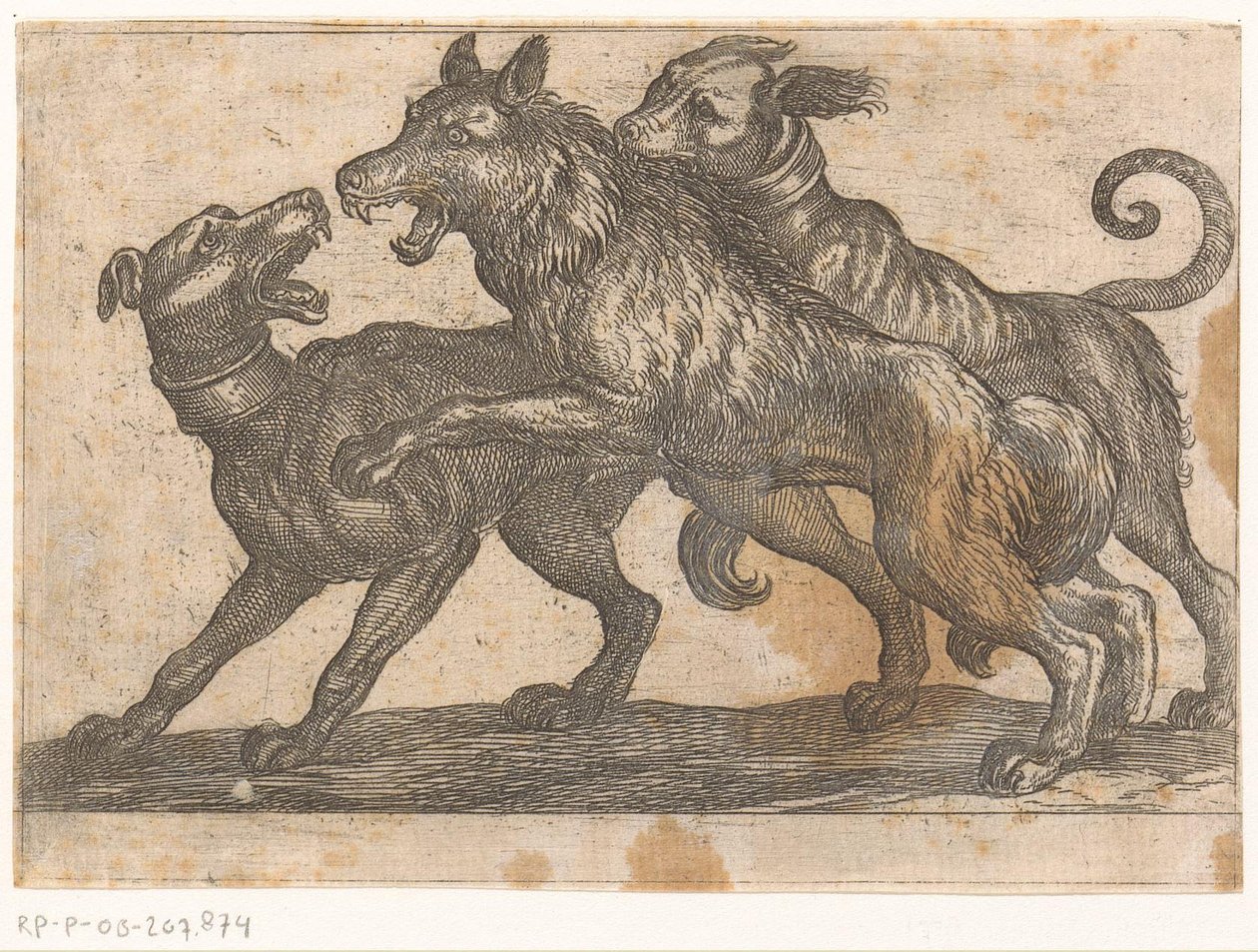 Twee honden in gevecht met een wolf door Antonio Tempesta
