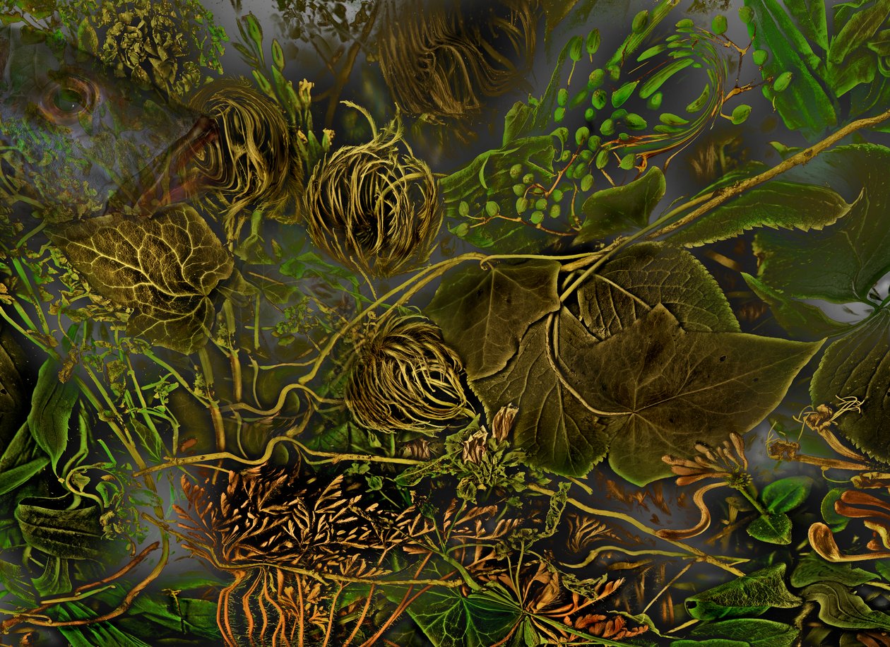  door Antonius Antonius