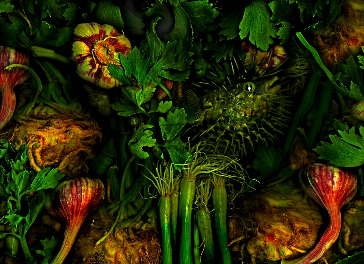  door Antonius Antonius