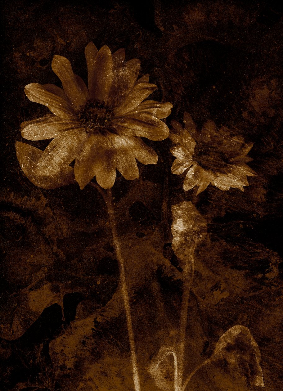  door Antonius Antonius