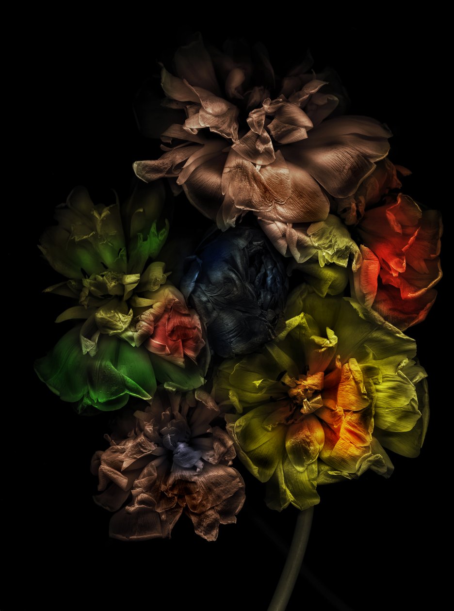  door Antonius Antonius