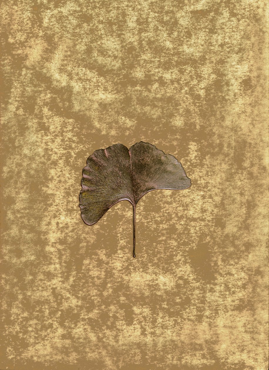 Ginkgo 3 door Antonius Antonius