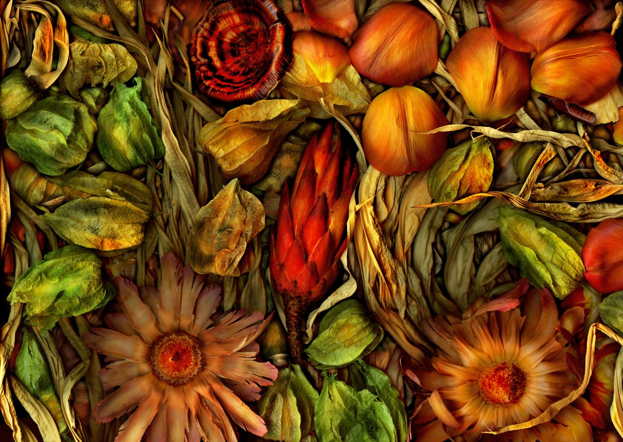  door Antonius Antonius