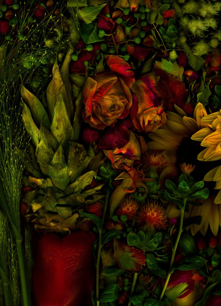  door Antonius Antonius