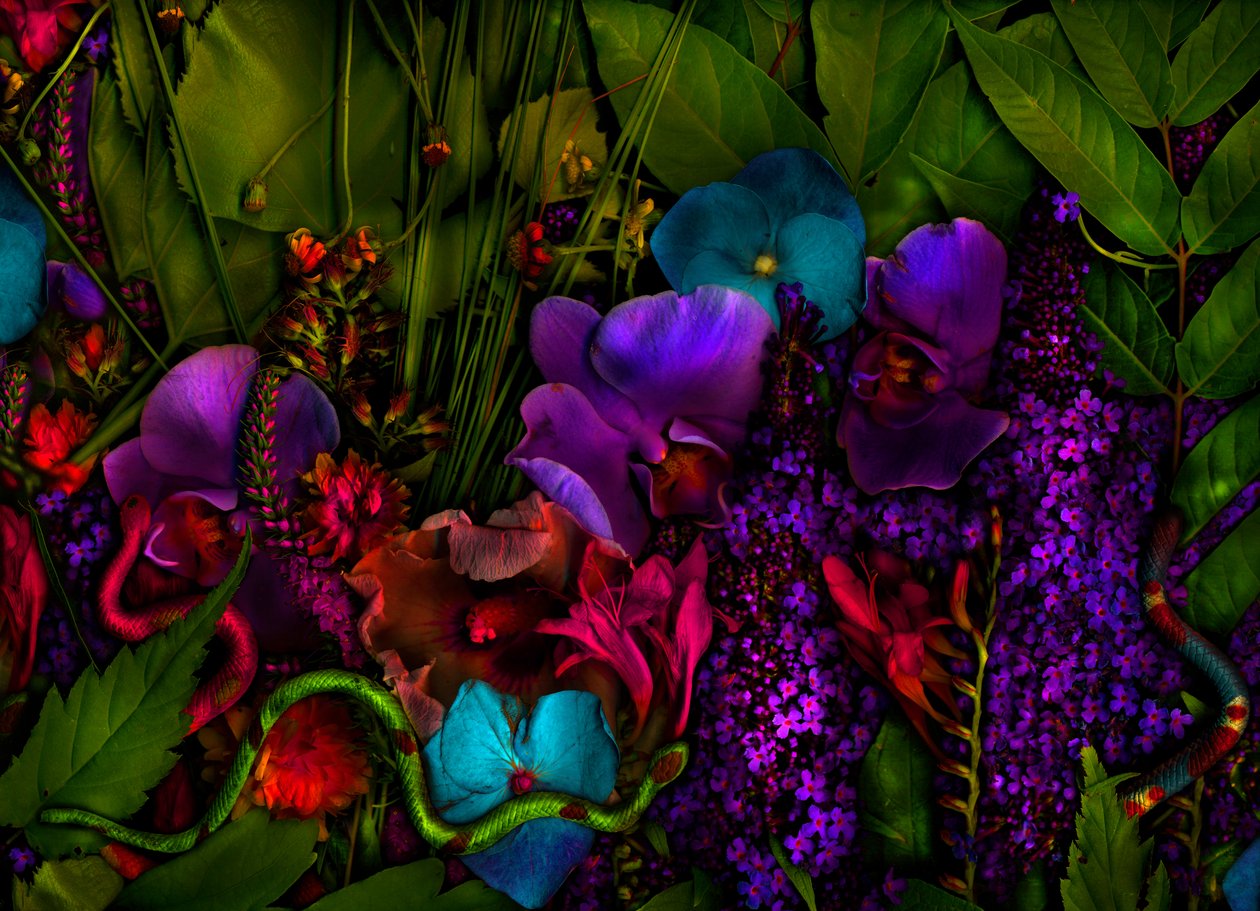  door Antonius Antonius