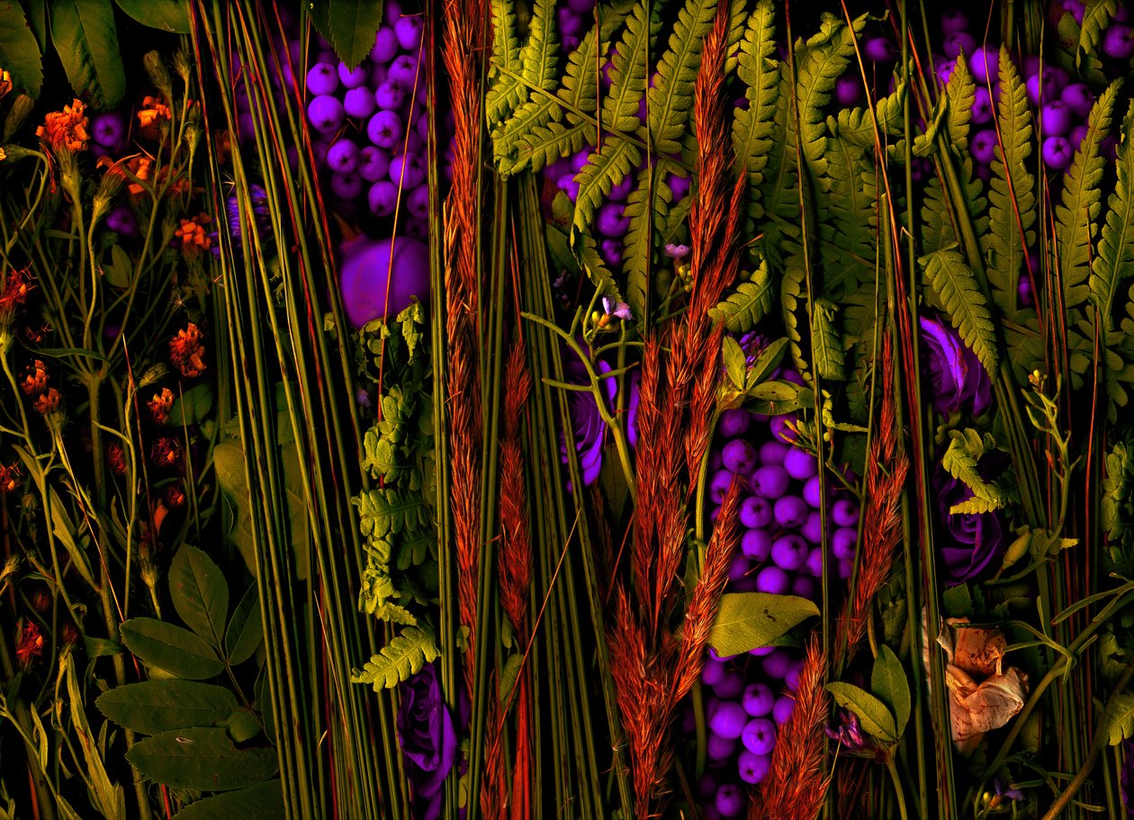  door Antonius Antonius