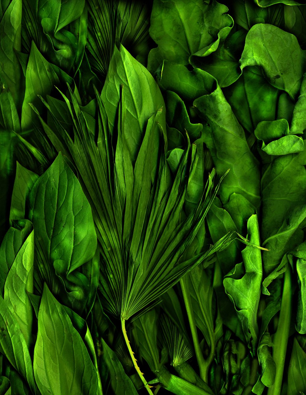  door Antonius Antonius