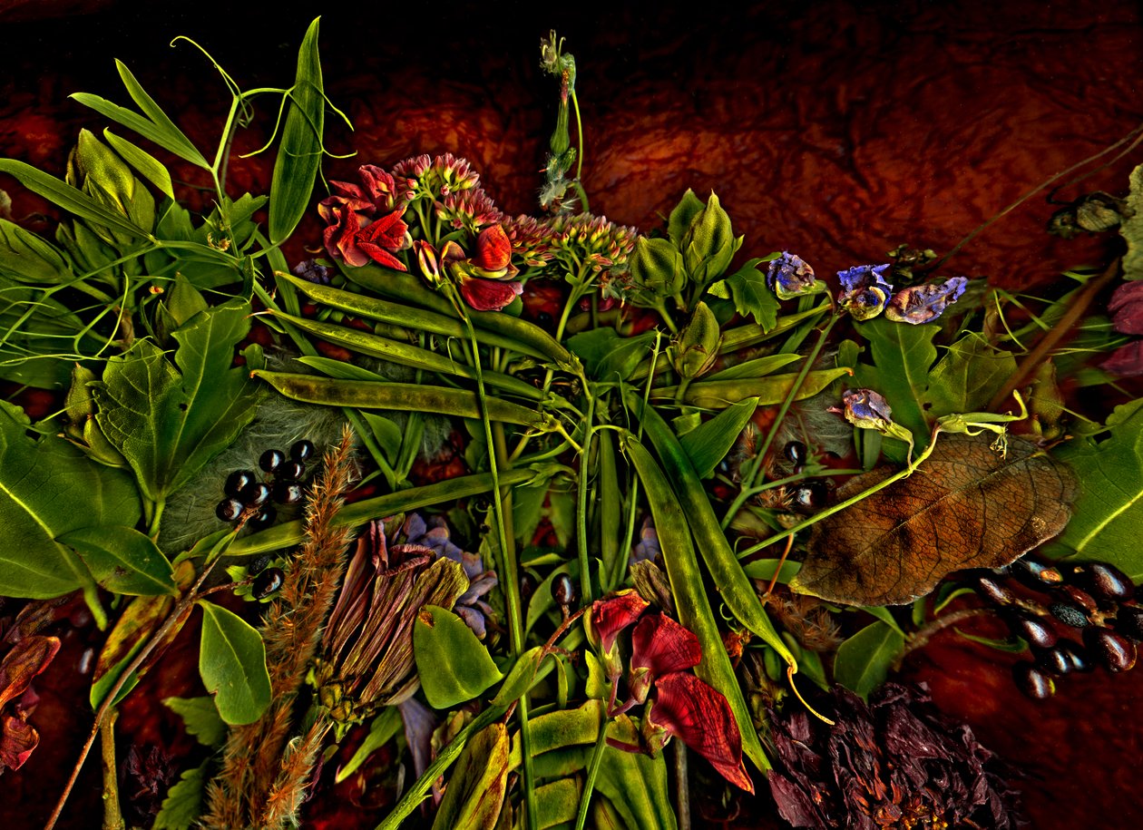  door Antonius Antonius