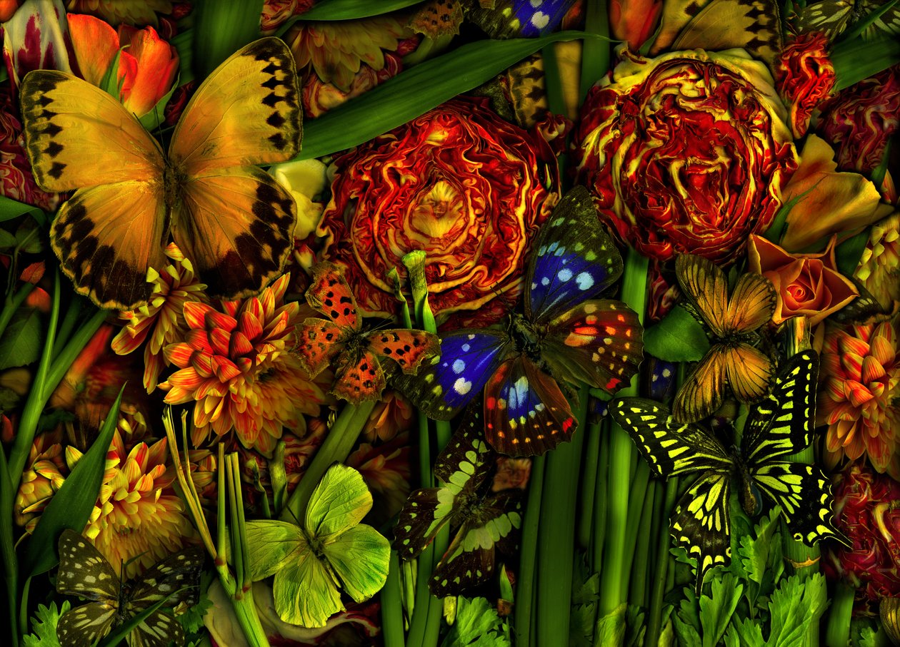  door Antonius Antonius