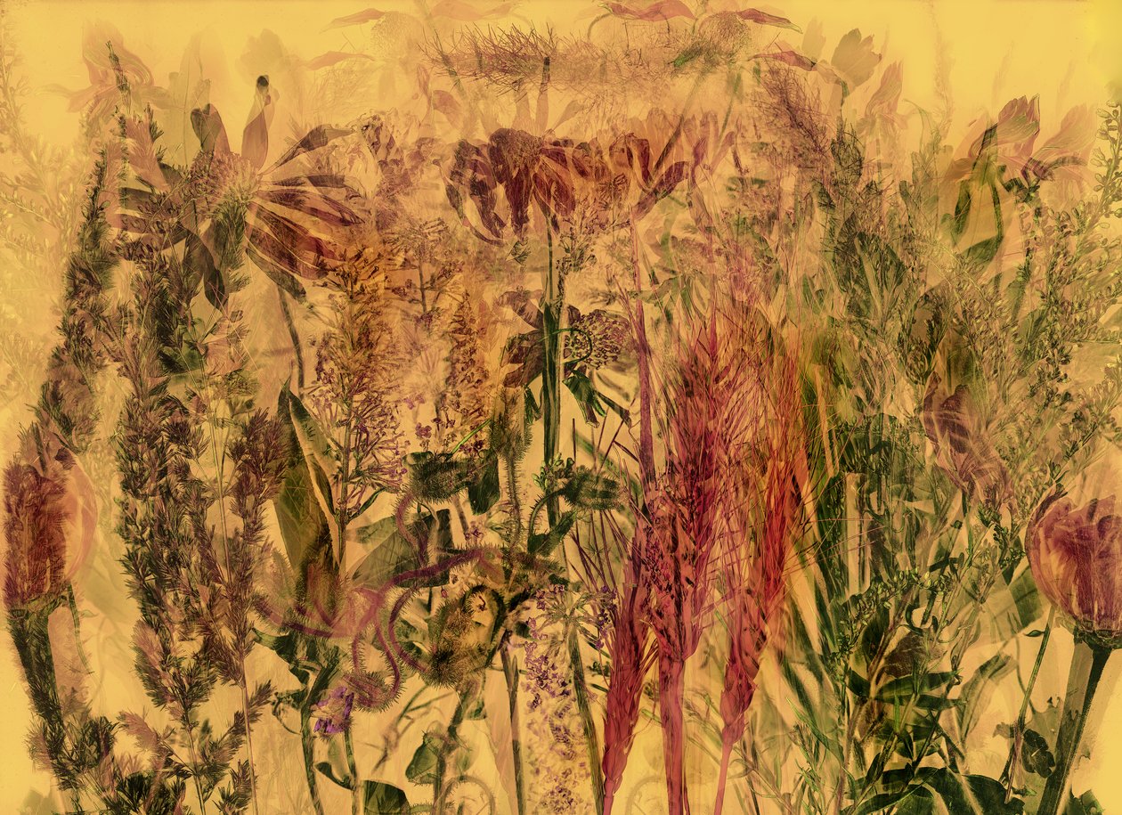 anderswelt 92 door Antonius Antonius