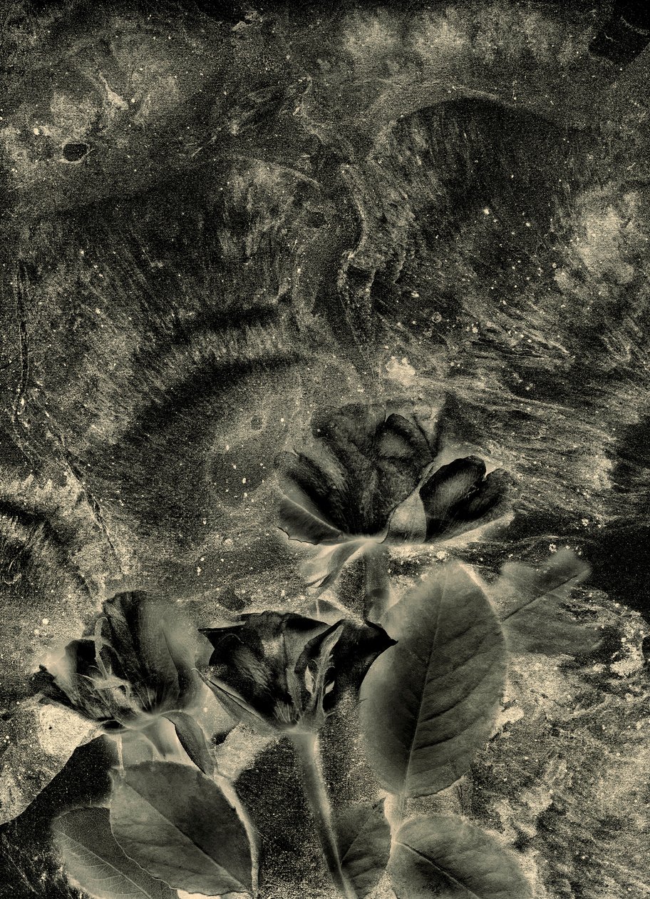  door Antonius Antonius