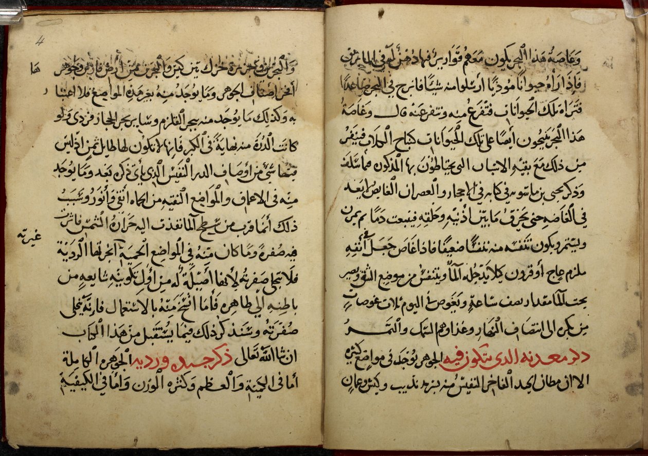 Pagina
