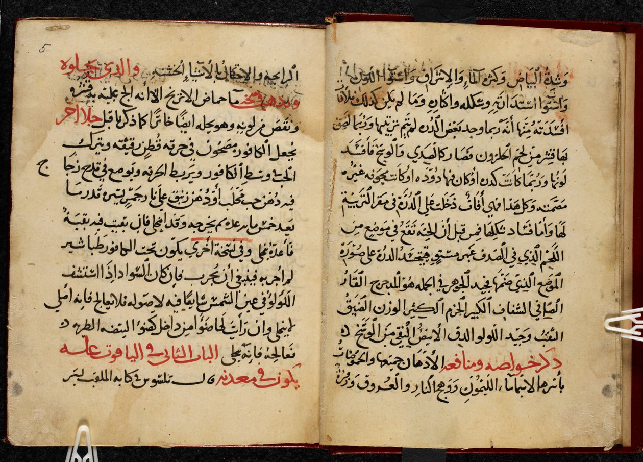 Pagina
