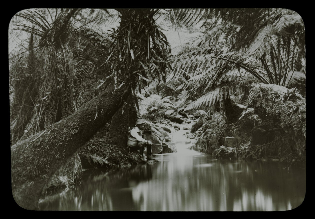 Visvijver, Sassafras Gully door Archibald James Campbell