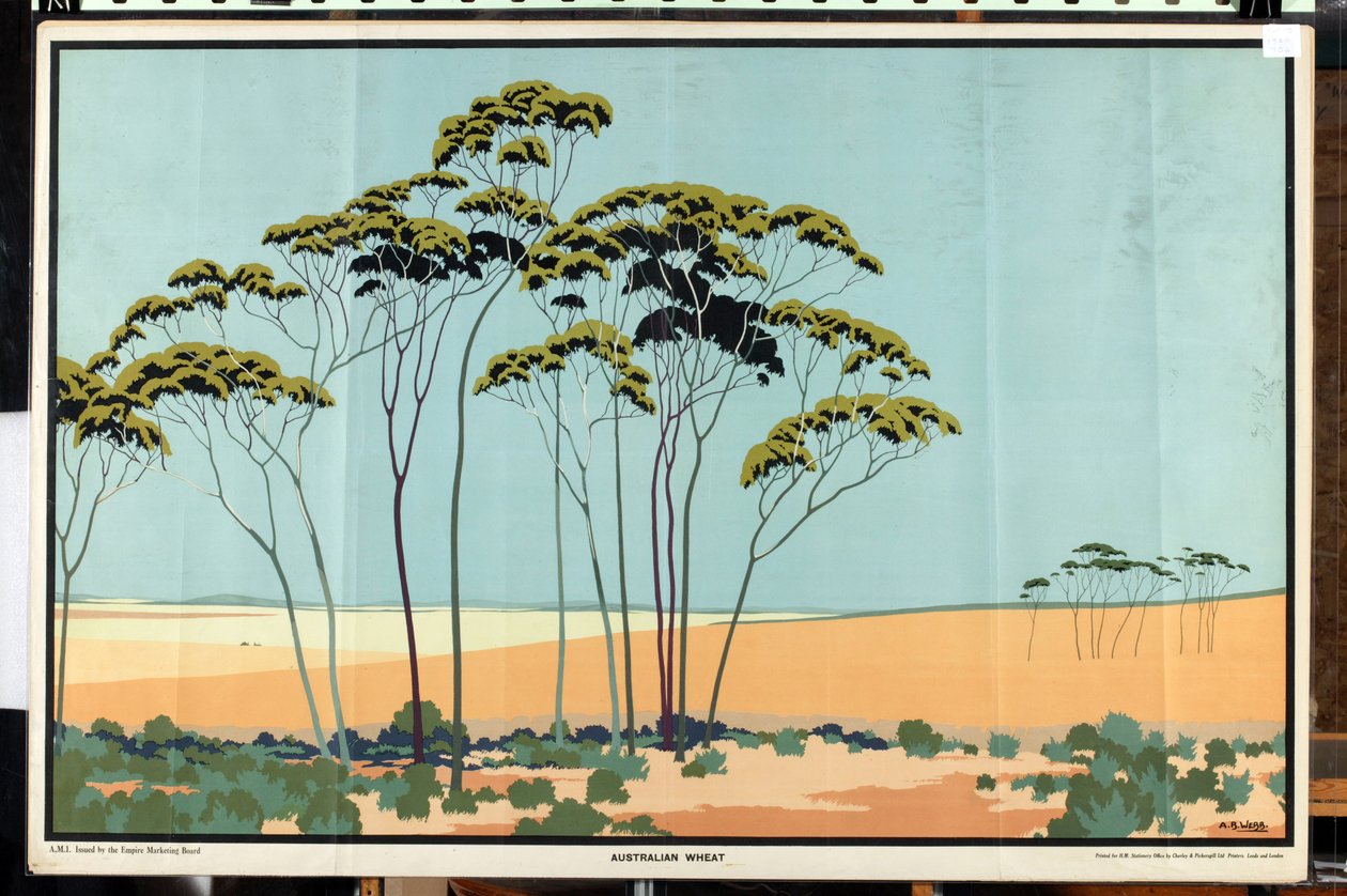 Australisch tarwe, uit de serie 