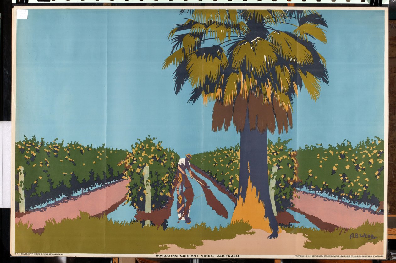 Besproeien van krentenstruiken - Australië door Archibald Bertram Webb