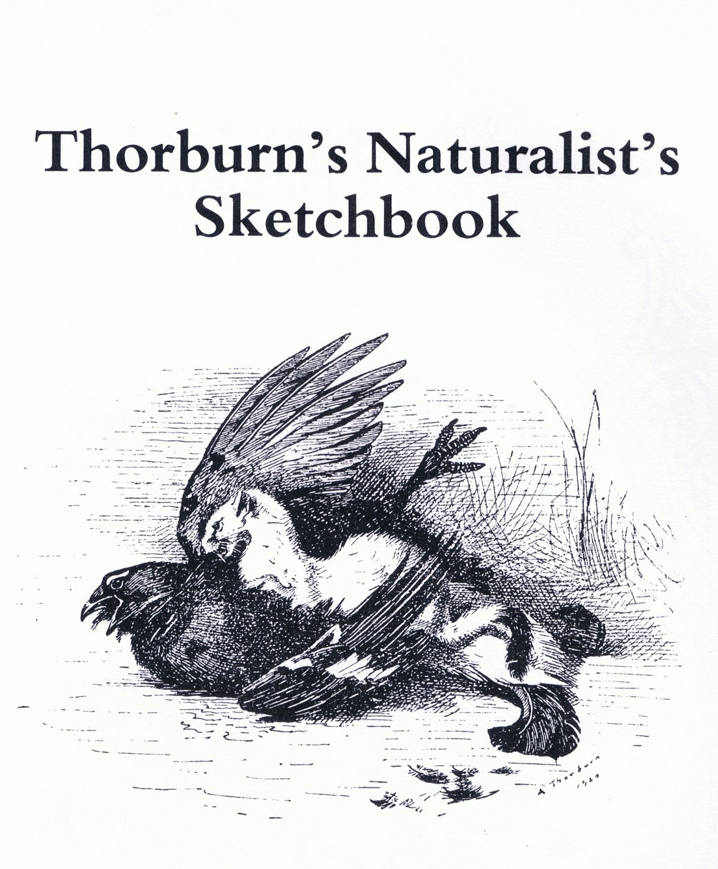 Titelpagina (Hermelijn en Wildvogel), uitgegeven door Book Club Associates door Archibald Thorburn