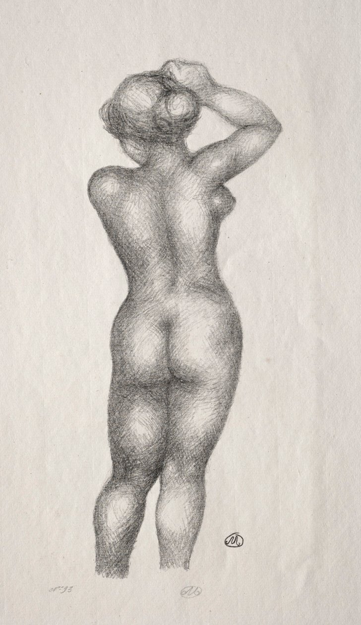 Naakt door Aristide Maillol