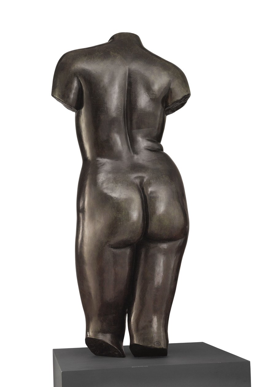Torso van Venus (achteraanzicht) door Aristide Maillol