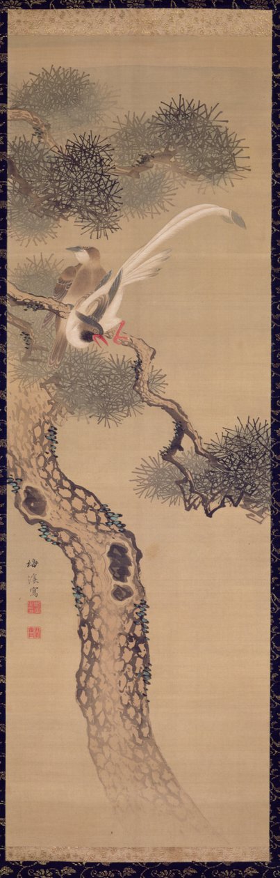 Langstaartige vogels in dennenboom, ca. 1800 door Ariwara Baikei