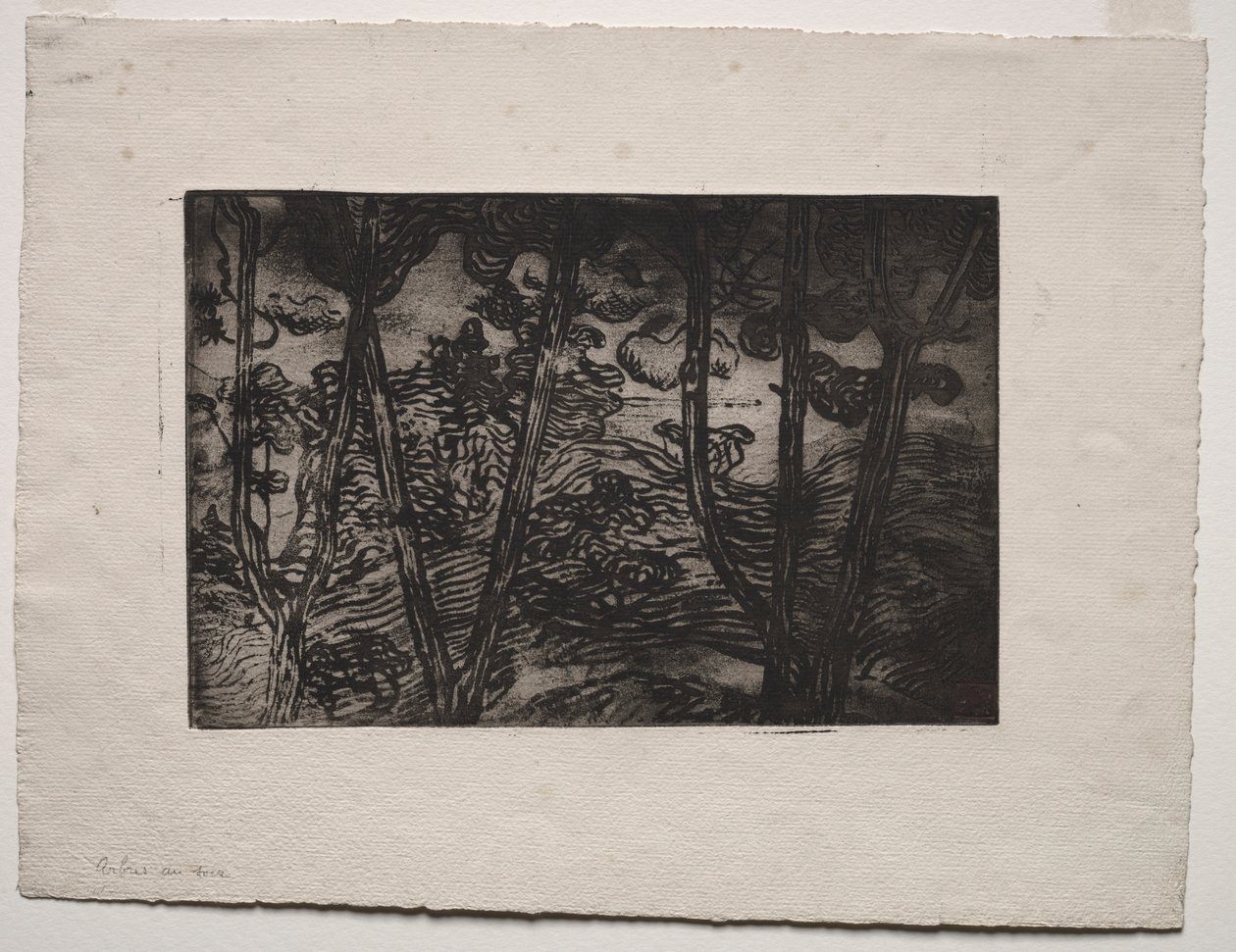 Bomen 