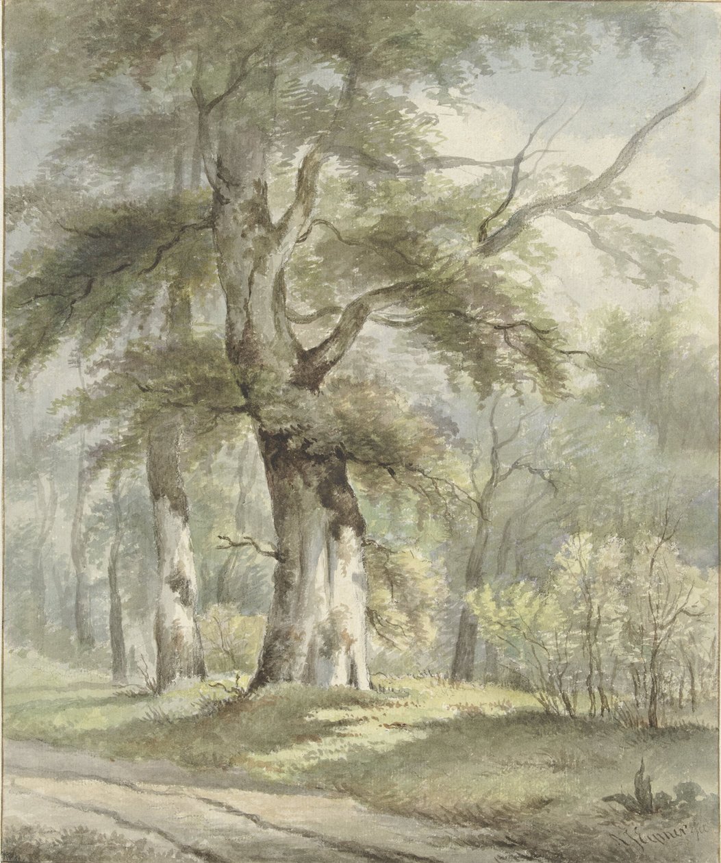 Bosgezicht door Arnoldus Johannes Eymer