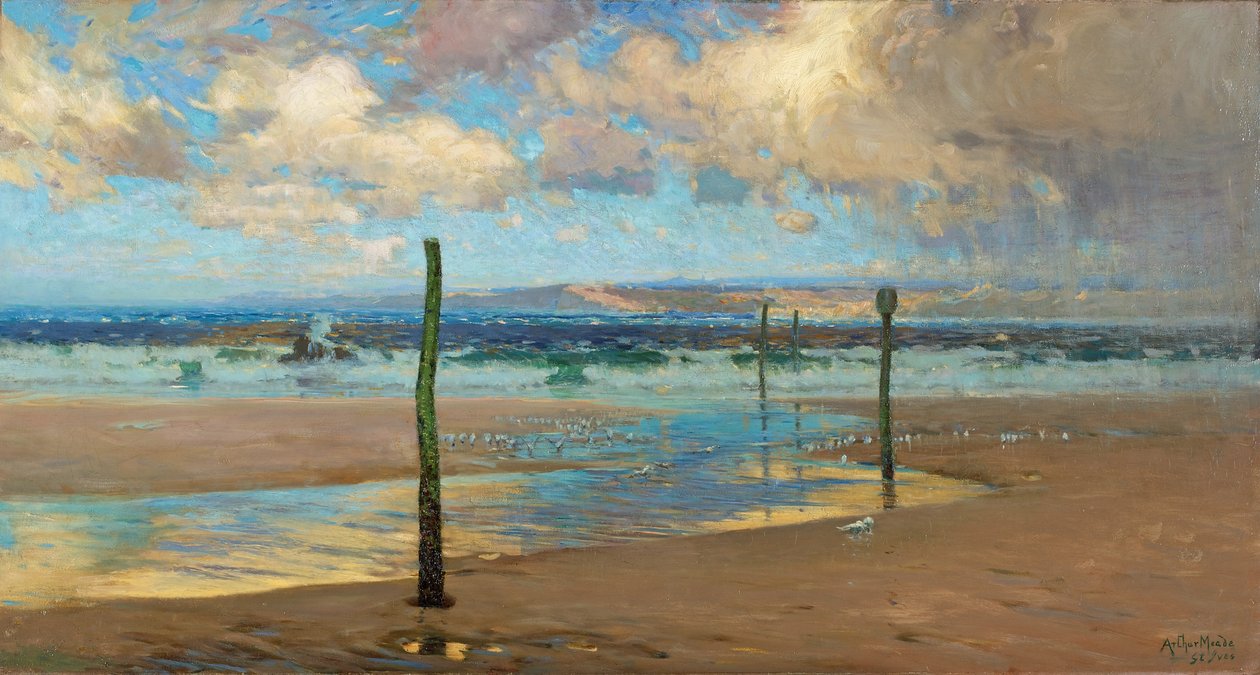 Een door de wind geteisterde kust, 1903 door Arthur Meade