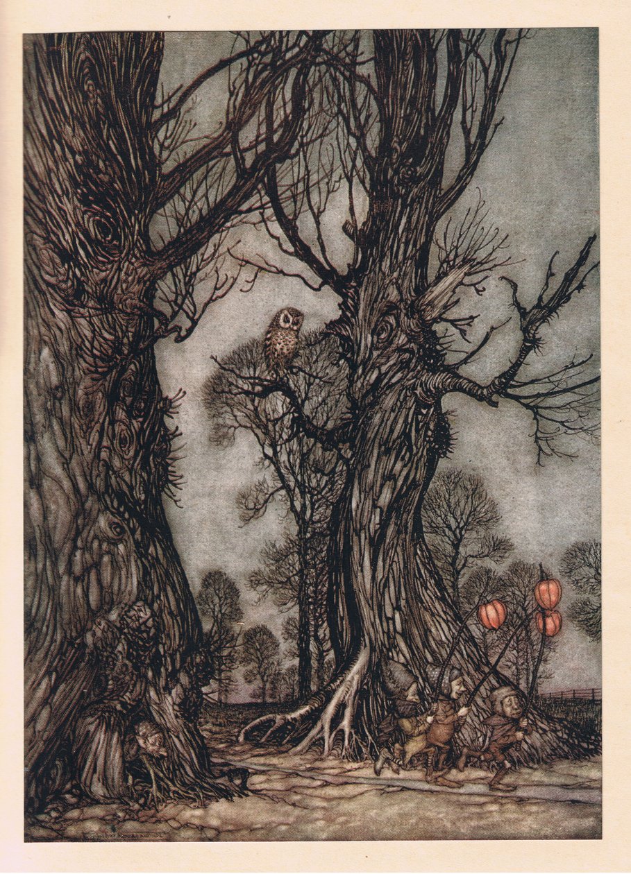 Linkmannen vooraan met winterkersen door Arthur Rackham